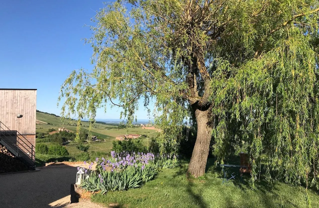 L'Esprit Des Vignes Bed and Breakfast Saint-Vérand Bed & Breakfast